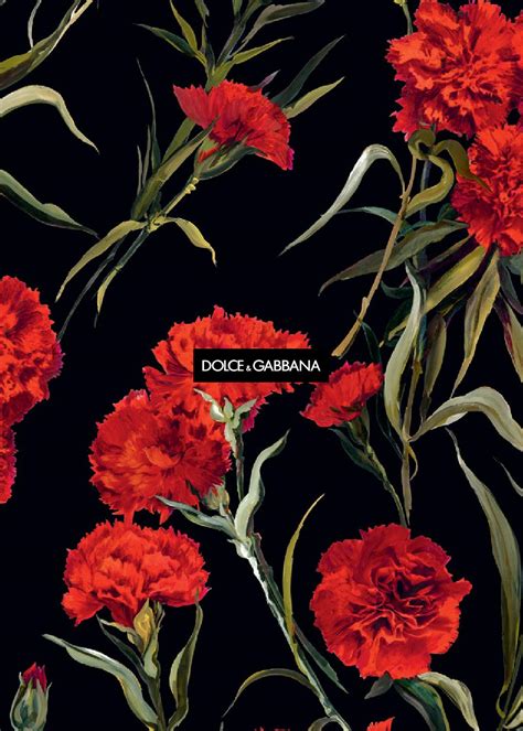 dolce gabbana wallpaper iphone|More.